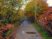 down the lane.jpg